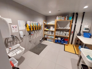 20240905_104259 high res