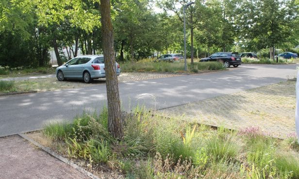 Klimafitte Parkplätze