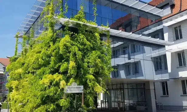 Solar- Gründach auf dem Gemeindezentrum in Mautern