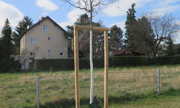 Baumpflanzung im Herbst