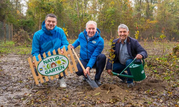 „Natur im Garten“-Aktion „Tree Running“: ganz Niederösterreich pflanzt 12.829 neue Bäume