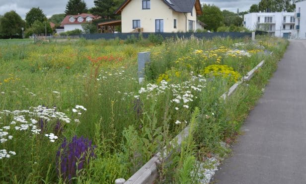 Regenwassermanagement in Ober-Grafendorf