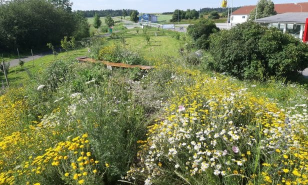 Gemeinde vor den Vorhang:  Ein Naschplatzl in Groß-Siegharts