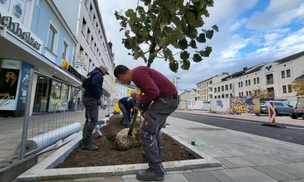 Wasserrückhalt nach dem Schwammstadtprinzip