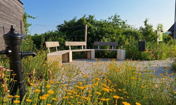 Gemeinsam im Grünen: Naturnahe Gemeinschaftsplätze in Priel