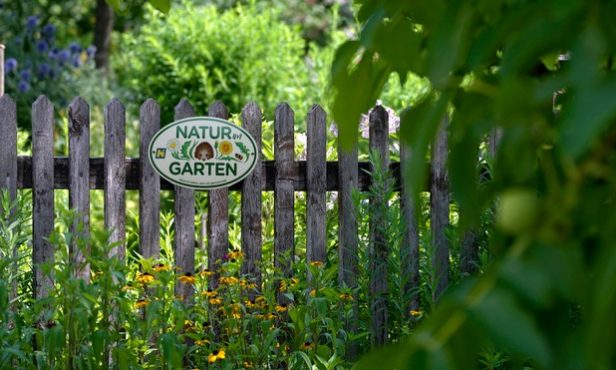 Natur im Garten beim Gemeindetag