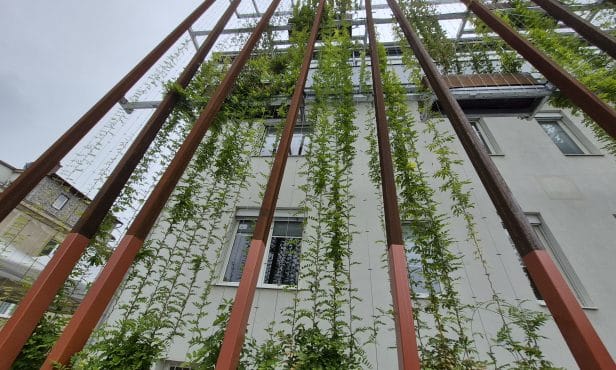 Klimafitte Bezirkshauptmannschaft