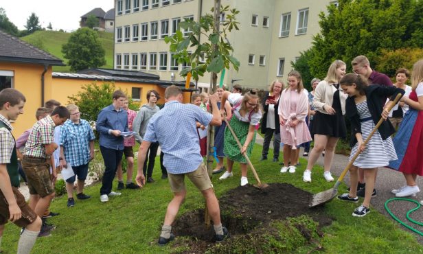 Vorbildliche Grünraumgestaltung in Hollenstein