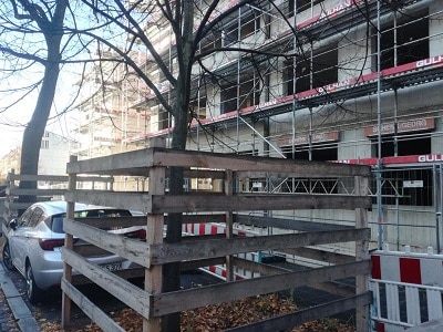 Baumschutz – die scheinbar vergessenen Normen