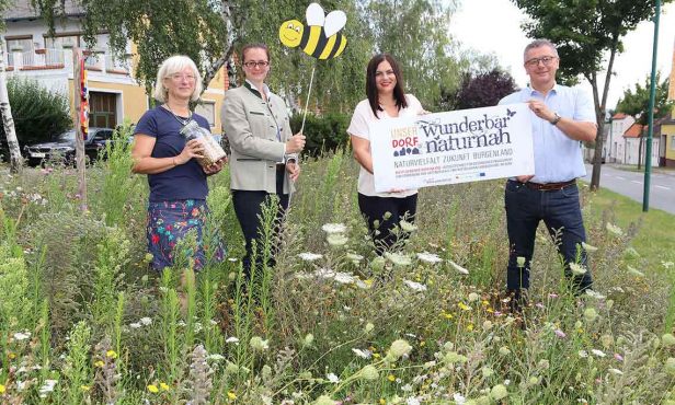Initiative für Bienen in den Gemeinden