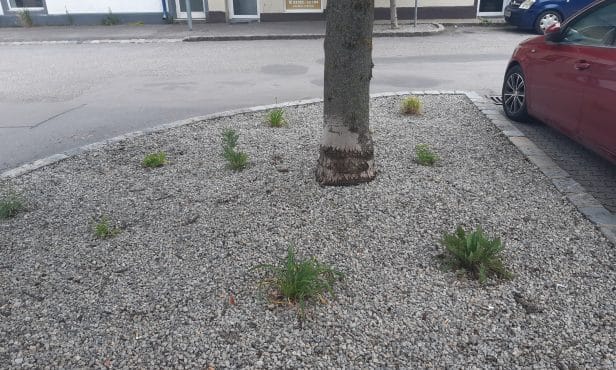 Kies- und Schotterschüttungen als Gestaltungselement?