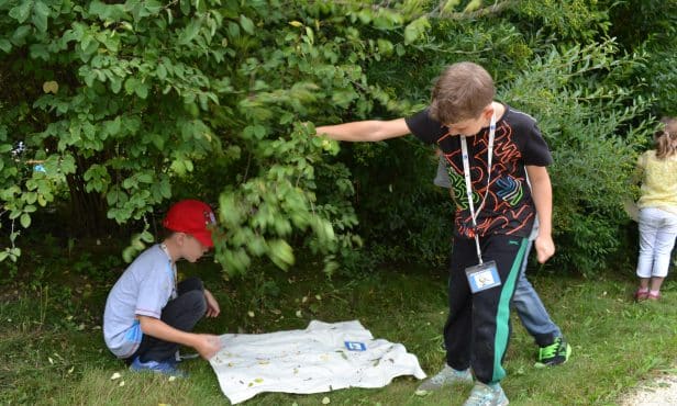 Neue Heckenpakete: Es braucht mehr Hecken in Dorf und Stadt