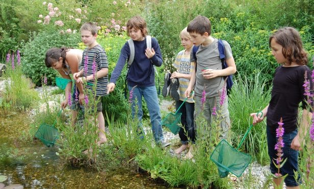 Hochwasserrückhaltebecken als Biodiversitätsflächen