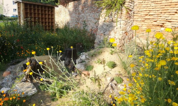 Wildbienenunterkünfte richtig bauen