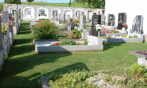 Mähen statt jäten: Friedhöfe mit Kräuterrasen begrünen