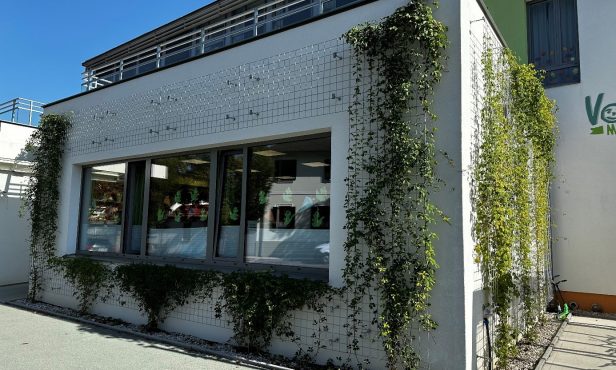 Fassadenbegrünung an der Volksschule in Pfaffstetten