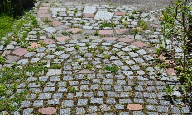 Verwendung von Pflanzenschutzmitteln durch den Bauhof