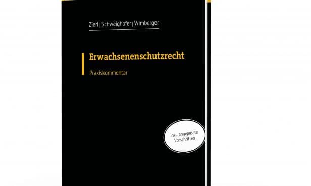 Erwachsenenschutzrecht in Österreich: Praxisnaher Kommentar