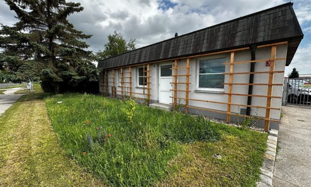 Fassadenbegrünung am Bauhof Oberwaltersdorf