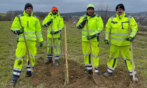Gepflanzte Zukunft: Neuanlage einer Streuobstwiese