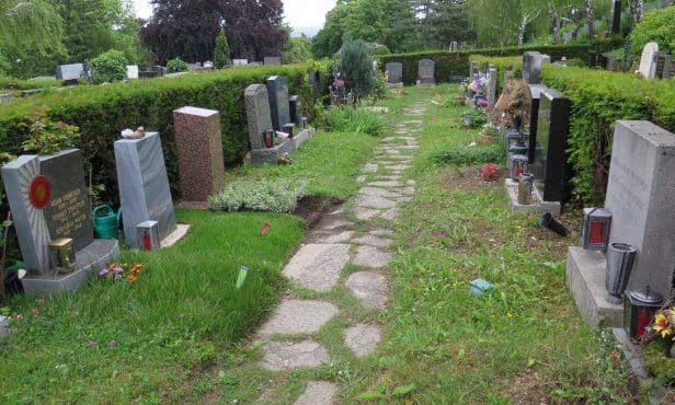 Wo verbringen wir die Ewigkeit? Im Urnenfach oder in einer Blumenwiese?