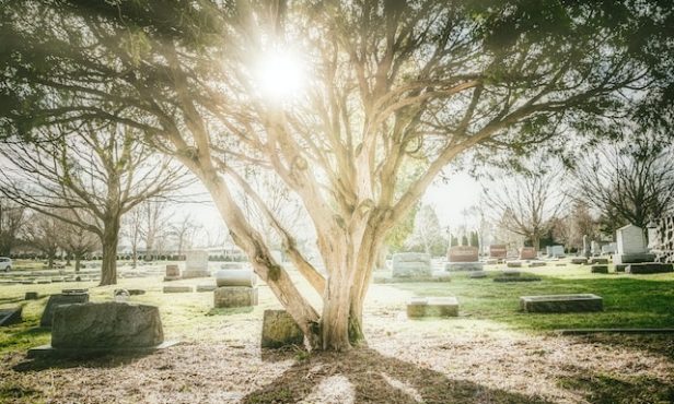Menschenwürde kennt kein Sterbedatum – Wenn der Friedhof zum Gerichtsschauplatz wird