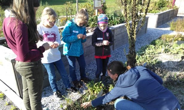 Naschgarten St. Oswald: Gemüse, Kräuter und Beeren für die Bürgerinnen und Bürger