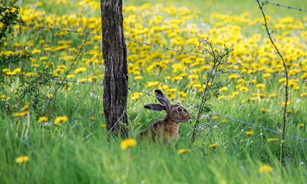 KLAR! Mittleres Kainachtal: “Niemand ist vor dem Klimawandel gefeit”