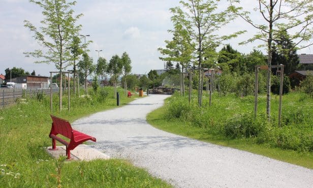 Gemeinde vor den Vorhang: Stadtwald Wieselburg