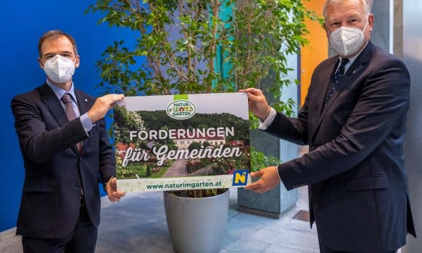 Begrünungsoffensive für Gemeinden gestartet: Sonderförderung „Klimagrüne Gemeinde“