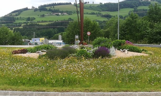 Gemeinde vor den Vorhang  Reinsberg lässt der Natur ihren Lauf…