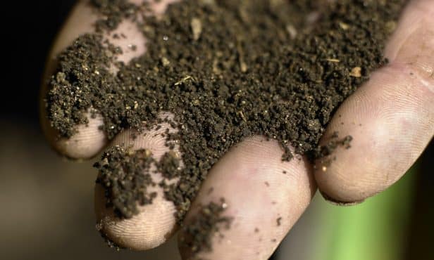 Hydrogele: Wasserspeichernde Zusatzstoffe in Substraten