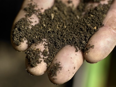 Biodünger aus heimischer Produktion