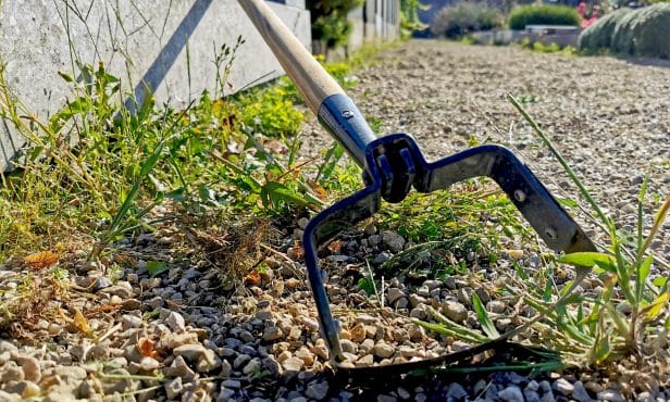 Die Pendelhacke – ein altes Gerät zur modernen Unkrautbekämpfung