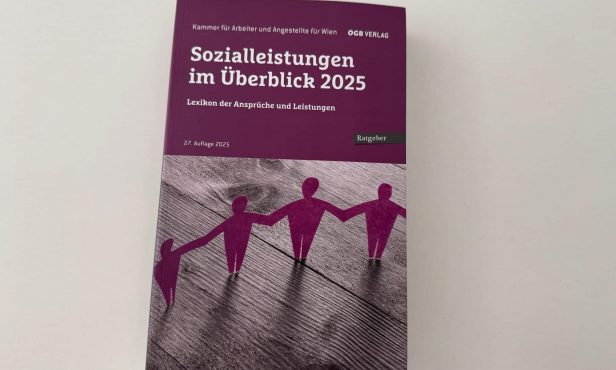 Buchtipp: Sozialleistungen im Überblick 2025