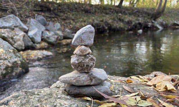 Danube Art Master 2024: Junge Talente setzen die Donau in Szene