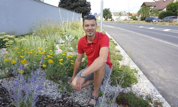 Grünraumgestaltung: Mehr Farbe in Loosdorf