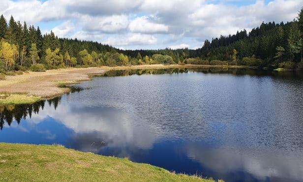 Torffreie Erden: Bio bei Erden heißt nicht unbedingt torffrei!