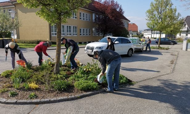 Beetpatenschaften übernehmen