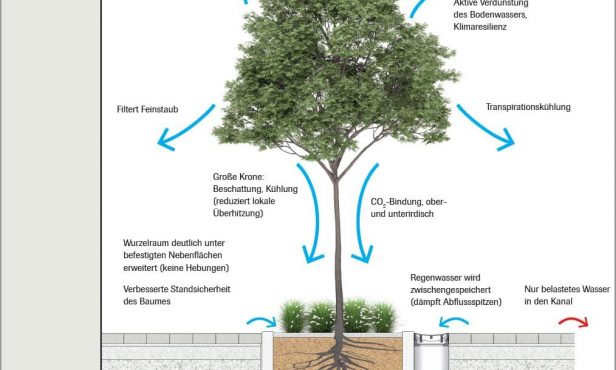 Lanzenkirchen: Klimafitte Hauptplatzgestaltung mit dem „Schwammstadt“-System