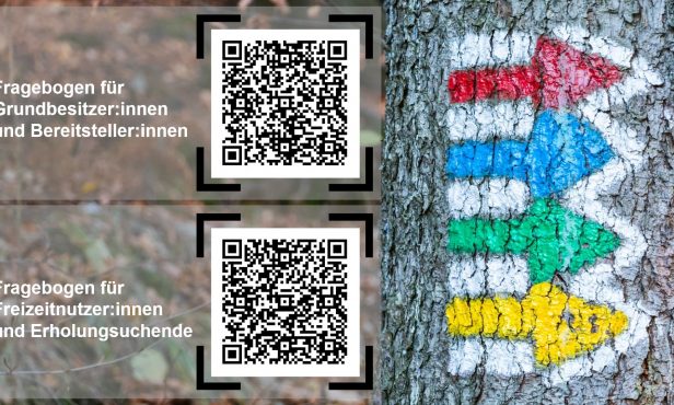 Waldbesuche im Fokus#2: Umfrage zur Freizeitnutzung – jetzt teilnehmen!