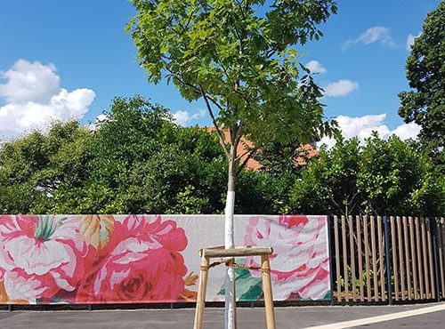 Jungbäume ausreichend bewässern