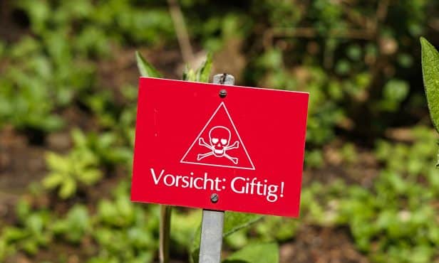 Gemeinde warnt Bevölkerung vor Giftköder