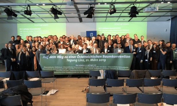 Umdenken bei Baumhaftung gefordert