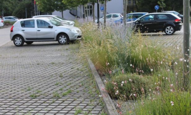 „Natur im Garten“ Gemeindefachtag und Maschinenvorführung Unkrautbekämpfung