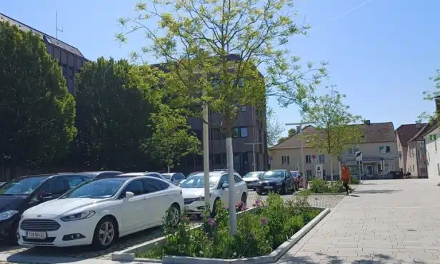 Fachexkursion Pflanzung von Bäumen in engen Straßenräumen Stockerau – Tulln – Herzogenburg