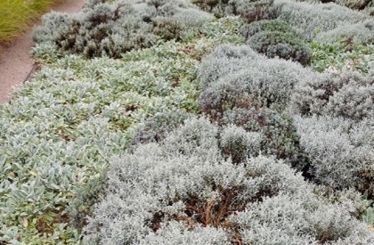 © Martina Liehl-Rainer „Natur im Garten“