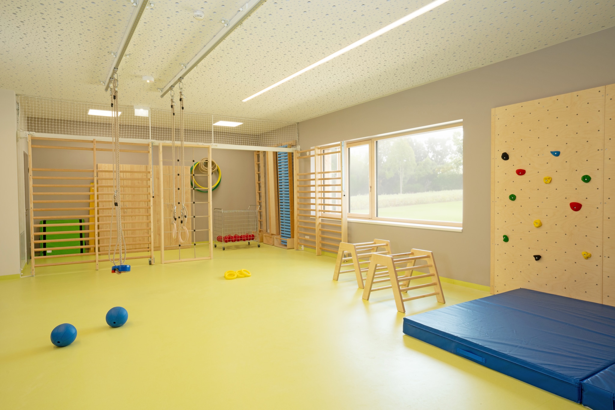 Flusspferd-Imagefoto_Bewegungsraum_01