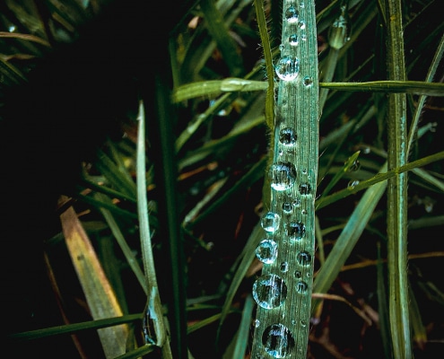 Platz-3_Wasserdiamanten_sandy82