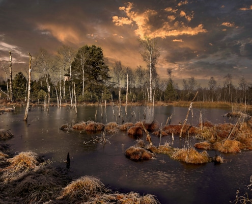 Platz-4_Wenger-Moor_Josef-Hinterleitner